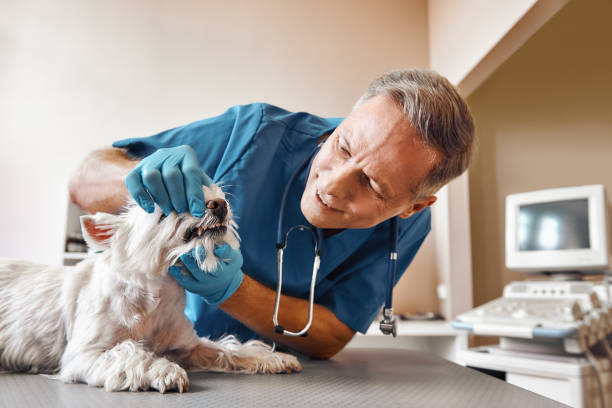 Best Emergency Broken Tooth Repair in Berwyn, PA